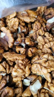 Prodám loupané vlašské ořechy - 2