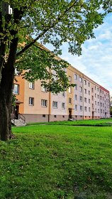 Na prodej byt 3+1 Ostrava Zábřeh - osobní vlastnictví - 2
