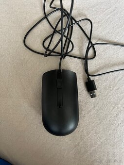 Dell myš MS 116 černá - 2