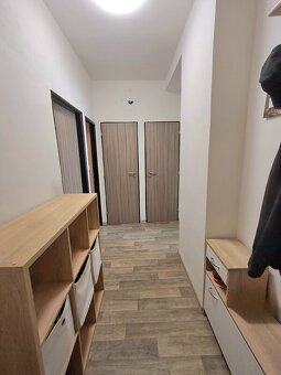 Pronájem bytu 2+1 ve Velkých Opatovicích - 2