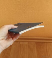 Česká literatura po roce 1945 z ptačí perspektivy - 2