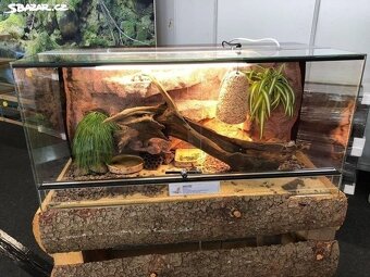 Skleněné terárium 100x40x40 cm s dekorativním pozadím - 2