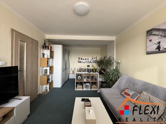 Pronájem částečně zařízeného bytu 1+1 s lodžií, 48m2, Moravs - 2