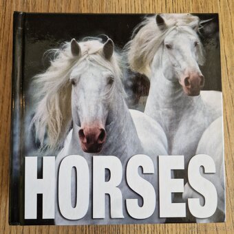Horses (CubeBook, 2010) - 2