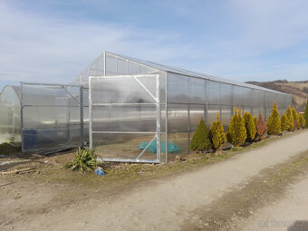 Skleník z polykarbonátu - 2