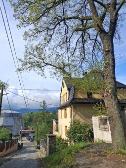 Dřevo - 2