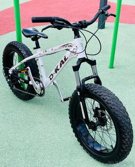 MTB Dirt Fatbike D-Kal 20” - 2