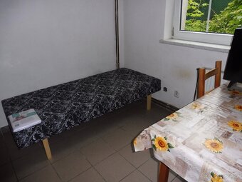 pronájem 1+0 bezbarierový - 2