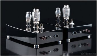 Prodám špičkové audiofilské lampové monobloky / pár - 2