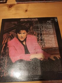 Gramofonová deska Shakin Stevens - 2
