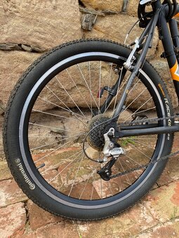 Panské kolo Kelly’s - 2