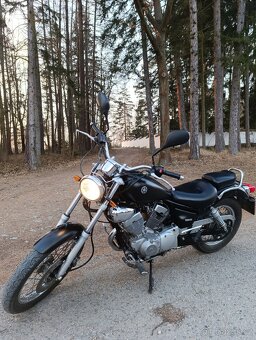Yamaha Virago 125 - 2