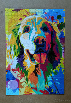 Colorful dog, 500 dílků, Blue Focus - 2