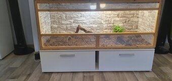 Prodám terarium - 2