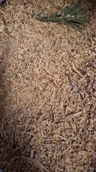 Vyměním pytel hoblin za něco :) - 2