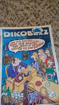 Dikobraz - 2