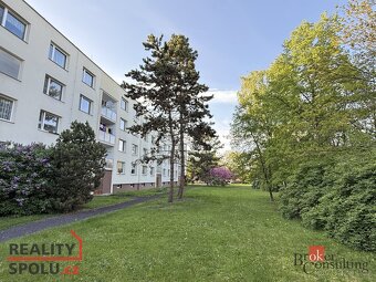Pronájem, byty/1+1, 36 m2, Tomanova 2415, 44001 Louny, Louny - 2
