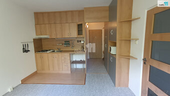 Pronájem bytu na Střekově - 2