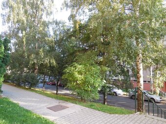 Podnájem velice prostorného, DV bytu, 1+1, 43 m2, na ulici I - 2