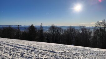 Housle starožitné 3/4. Délka zad 34 cm. - 2