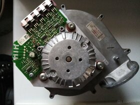 VIADRUS CLAUDIUS K2 - 2