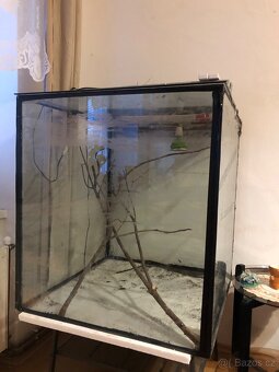 Terárium prodám - 2