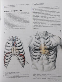Anatomie 3 - 2