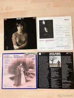vinylové LP desky-prodej - 2