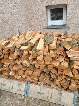 Třešeň dřevo - 2