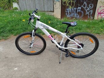 Kolo CYGNUS Dirt Pro - 2