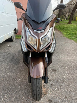 kentoya maximus 125 - 2