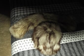 Čepice a Límec - 2