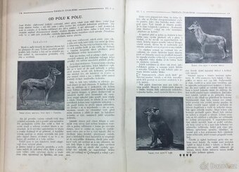 Šimáčkův Čtyřlístek 5 rocniku - 2