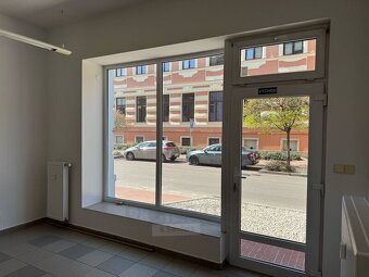 Pronájem nebytového prostoru 40 m² – Jírovcova ulice, České  - 2