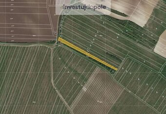 Prodej vinice v k.ú. Starovičky - 2