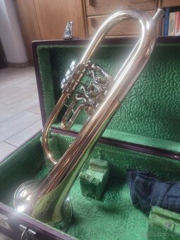 B křídlovka Amati - 2