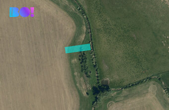 Prodej pole, 6305 m², Vacenovice u Kyjova - 2