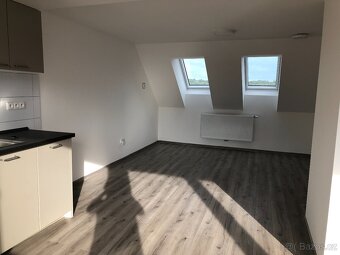 Pronájem velkého 1+kk s lodžií, Telč - Staré Město - 2