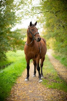 18-lety valach na rekreaci - 2