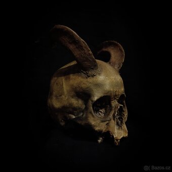 Lidská lebka rohy - 2