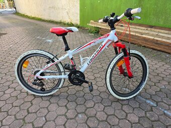 Italské dětské kolo 20" Torpado - 2
