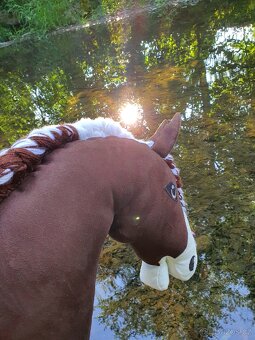 Hobby horse - 2