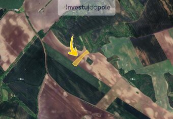 Prodej podílu 7/12 pole 7 015 m², Čejč, ev.č. 2025-09-15-9 - 2