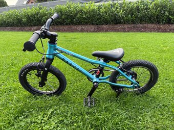 Rascal 14” aquamarine - 2