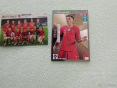 Fotbalové kartičky - 2