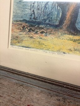 Karel Dlabola obraz - 2