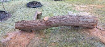 Prodám kmen švestky 220 cm 2000 Kč - 2