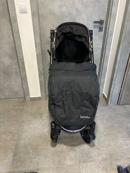 Kocarek Lionelo - 2