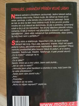 Tajná kniha - Irena Obermannová - 2