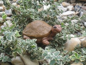 Zahradní dekorace - želvička, želva malá - 2